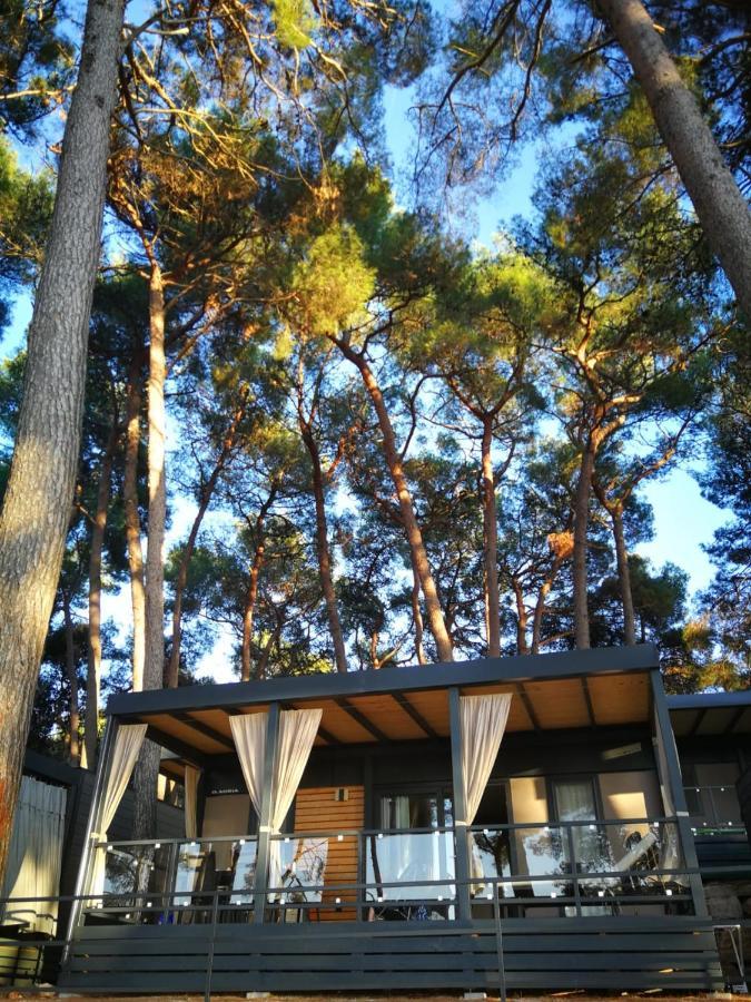 Campsite Mobile Erna,
