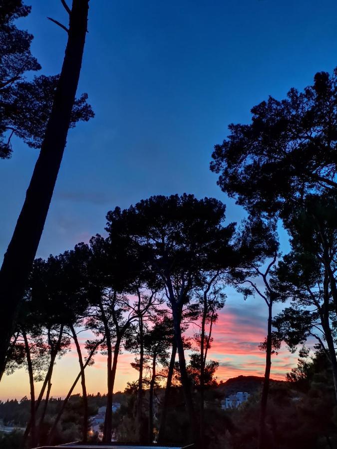 Mobile Erna, * Rovinj